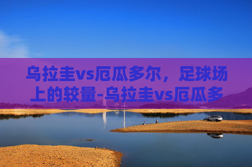 乌拉圭vs厄瓜多尔，足球场上的较量-乌拉圭vs厄瓜多尔历史战绩