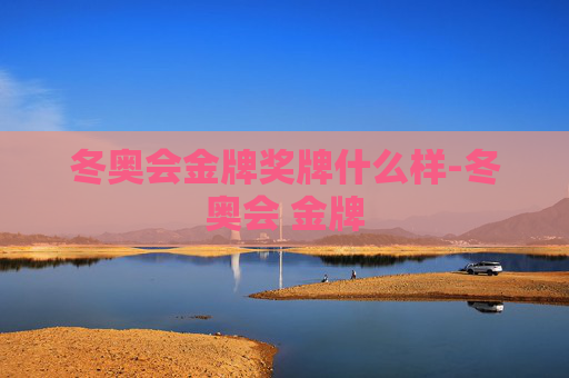 冬奥会金牌奖牌什么样-冬奥会 金牌