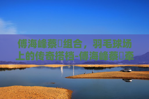 傅海峰蔡赟组合，羽毛球场上的传奇搭档-傅海峰蔡赟牵手