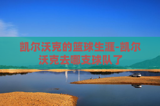 凯尔沃克的篮球生涯-凯尔沃克去哪支球队了