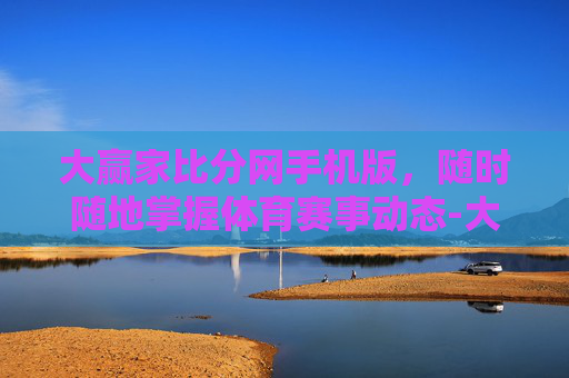 大赢家比分网手机版，随时随地掌握体育赛事动态-大赢家比分手机版官方正版
