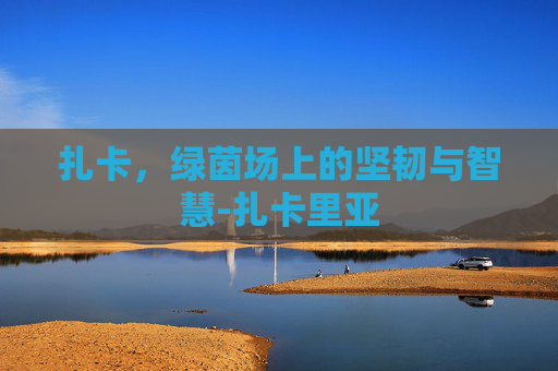 扎卡，绿茵场上的坚韧与智慧-扎卡里亚