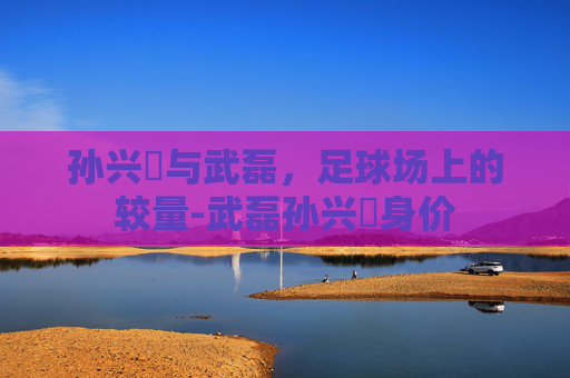 孙兴慜与武磊，足球场上的较量-武磊孙兴慜身价