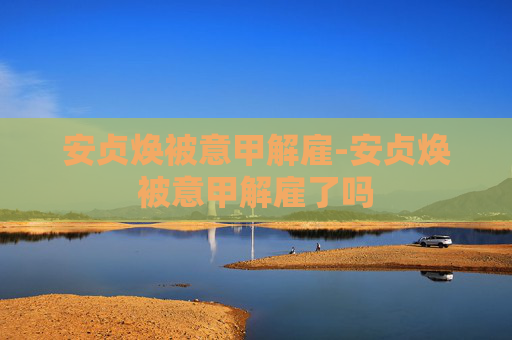 安贞焕被意甲解雇-安贞焕被意甲解雇了吗