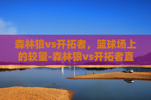 森林狼vs开拓者，篮球场上的较量-森林狼vs开拓者直播
