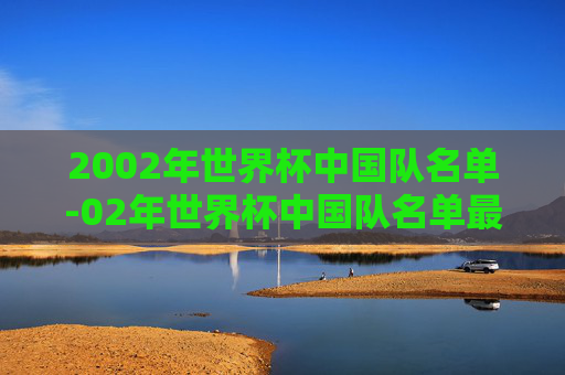 2002年世界杯中国队名单-02年世界杯中国队名单最新
