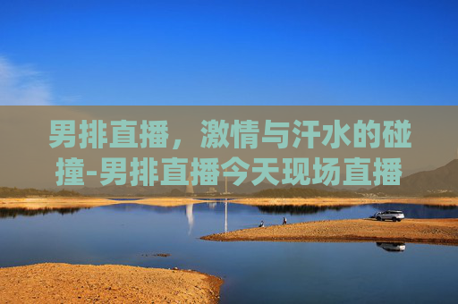男排直播，激情与汗水的碰撞-男排直播今天现场直播