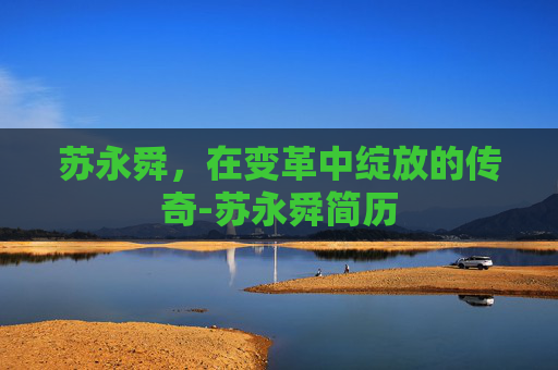 苏永舜，在变革中绽放的传奇-苏永舜简历
