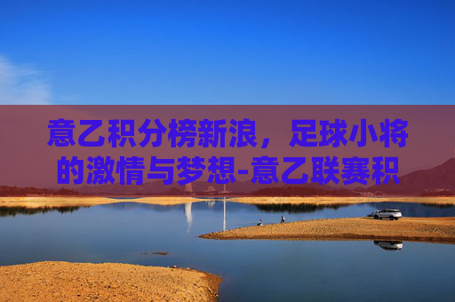 意乙积分榜新浪，足球小将的激情与梦想-意乙联赛积分榜新浪