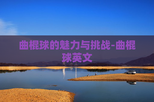 曲棍球的魅力与挑战-曲棍球英文