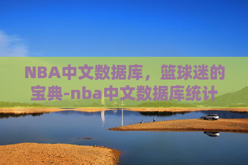 NBA中文数据库，篮球迷的宝典-nba中文数据库统计