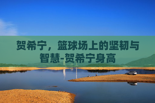 贺希宁，篮球场上的坚韧与智慧-贺希宁身高