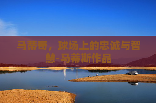 马蒂奇，球场上的忠诚与智慧-马蒂斯作品