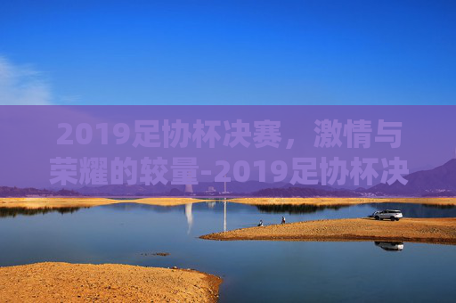 2019足协杯决赛，激情与荣耀的较量-2019足协杯决赛观众人数