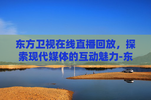 东方卫视在线直播回放，探索现代媒体的互动魅力-东方卫视在线直播回放节目