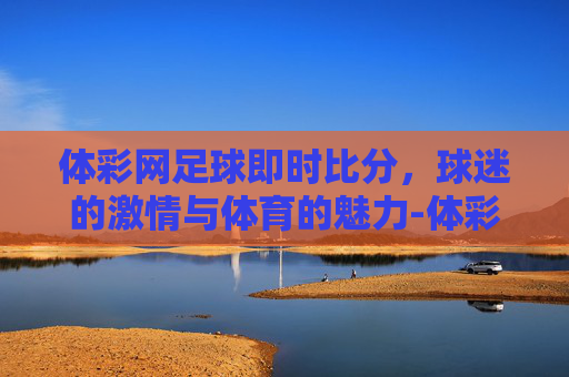 体彩网足球即时比分，球迷的激情与体育的魅力-体彩足球比分结果