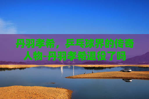 丹羽孝希，乒乓球界的传奇人物-丹羽孝希退役了吗
