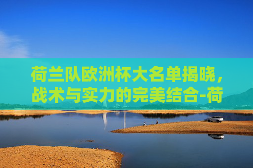 荷兰队欧洲杯大名单揭晓，战术与实力的完美结合-荷兰队欧洲杯主力阵容
