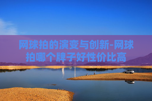 网球拍的演变与创新-网球拍哪个牌子好性价比高