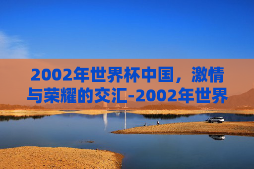 2002年世界杯中国，激情与荣耀的交汇-2002年世界杯中国队阵容