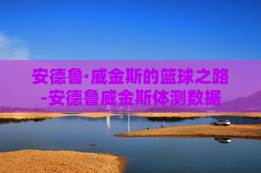 安德鲁·威金斯的篮球之路-安德鲁威金斯体测数据