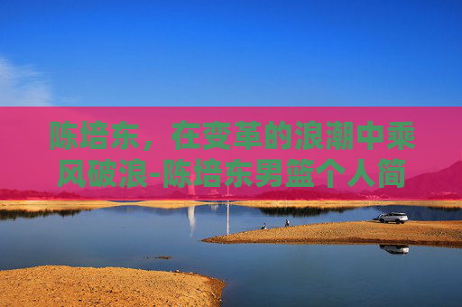 陈培东，在变革的浪潮中乘风破浪-陈培东男篮个人简历