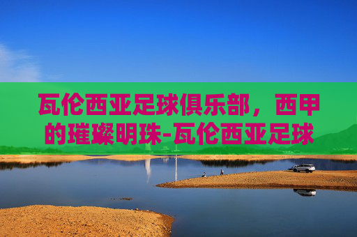 瓦伦西亚足球俱乐部，西甲的璀璨明珠-瓦伦西亚足球俱乐部亚洲官方合作伙伴