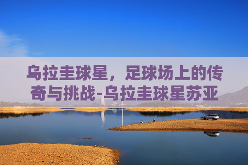 乌拉圭球星，足球场上的传奇与挑战-乌拉圭球星苏亚雷斯