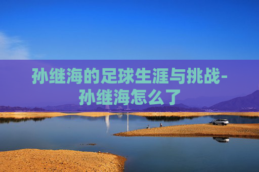 孙继海的足球生涯与挑战-孙继海怎么了