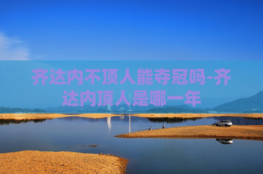 齐达内不顶人能夺冠吗-齐达内顶人是哪一年