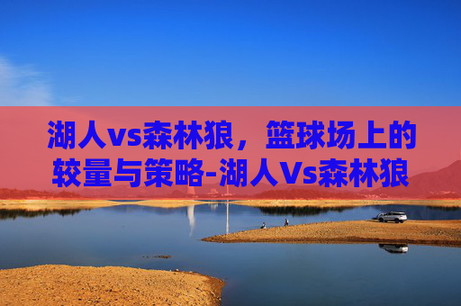 湖人vs森林狼，篮球场上的较量与策略-湖人Vs森林狼今日回放