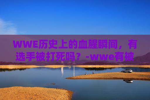 WWE历史上的血腥瞬间，有选手被打死吗？-wwe有被打死的吗知乎