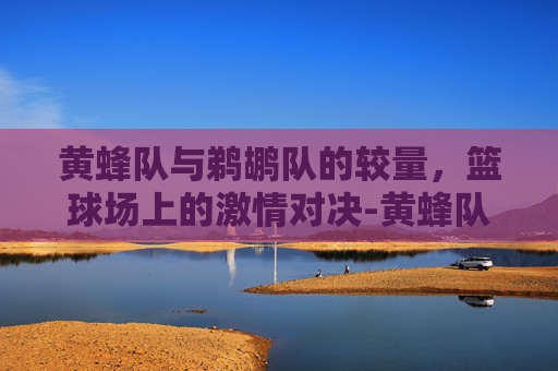 黄蜂队与鹈鹕队的较量，篮球场上的激情对决-黄蜂队和鹈鹕队是一个队吗