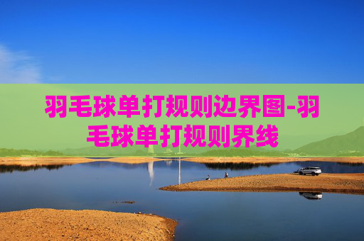 羽毛球单打规则边界图-羽毛球单打规则界线