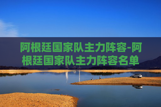 阿根廷国家队主力阵容-阿根廷国家队主力阵容名单