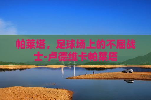 帕莱塔，足球场上的不屈战士-卢德维卡帕莱塔