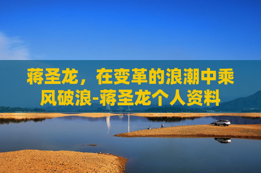蒋圣龙，在变革的浪潮中乘风破浪-蒋圣龙个人资料