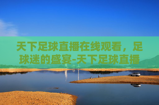 天下足球直播在线观看，足球迷的盛宴-天下足球直播网