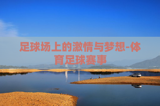 足球场上的激情与梦想-体育足球赛事