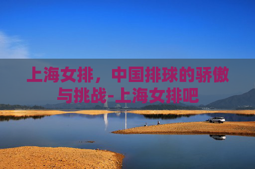 上海女排，中国排球的骄傲与挑战-上海女排吧