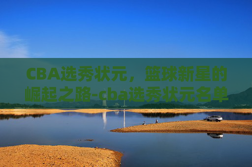 CBA选秀状元，篮球新星的崛起之路-cba选秀状元名单