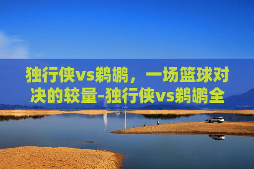 独行侠vs鹈鹕，一场篮球对决的较量-独行侠vs鹈鹕全场回放