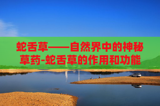 蛇舌草——自然界中的神秘草药-蛇舌草的作用和功能主治