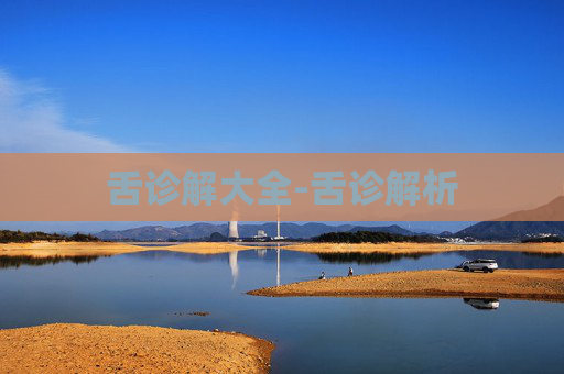 舌诊解大全-舌诊解析