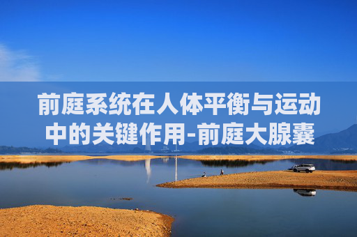 前庭系统在人体平衡与运动中的关键作用-前庭大腺囊肿女性怎么治疗