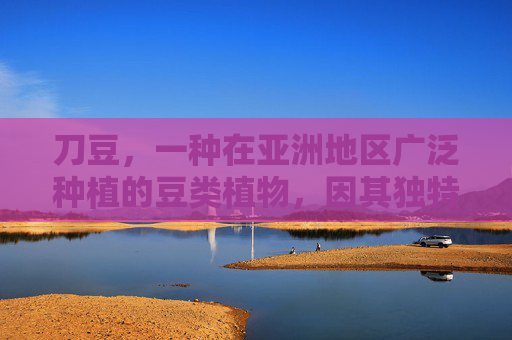 刀豆，一种在亚洲地区广泛种植的豆类植物，因其独特的口感和营养价值而备受推崇。它不仅是一种美味的食材，还具有多种健康功效与作用。本文将深入探讨刀豆的功效与作用，帮助您更好地了解这种神奇的植物。-刀豆的功效与作用,刀豆的副作用