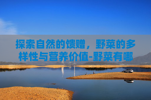 探索自然的馈赠，野菜的多样性与营养价值-野菜有哪些品种图片大全