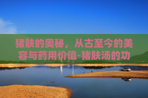 猪肤的奥秘，从古至今的美容与药用价值-猪肤汤的功效与作用