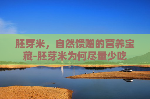 胚芽米，自然馈赠的营养宝藏-胚芽米为何尽量少吃