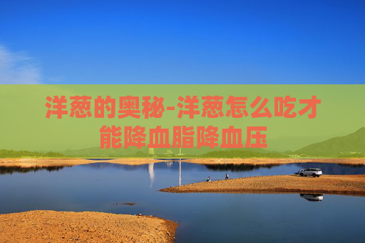 洋葱的奥秘-洋葱怎么吃才能降血脂降血压
